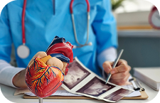 Anatomski model ljudskog srca i kardiološki nalazi na stolu lekara, privatna poliklinika Beograd